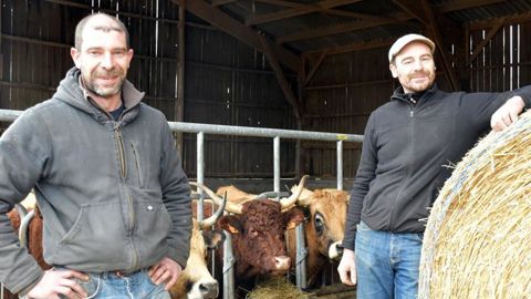 Sébastien Heslouis (à droite) et son frère Christophe ont mis en place un système extensif. Ils écoulent quasiment la moitié de leur production en vente directe. © A. Richard